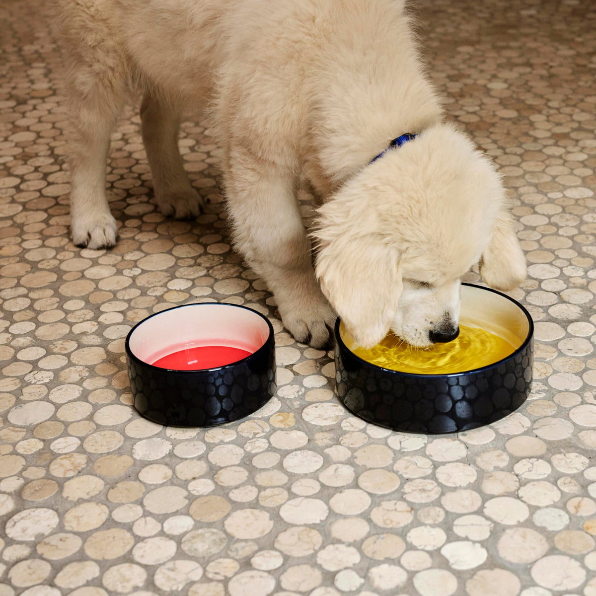 HAY Dogs Bowl Hunde Fressnapf S small rot blau