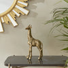 error-product-image